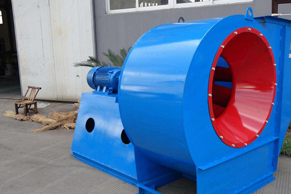 山东91视频下载地址