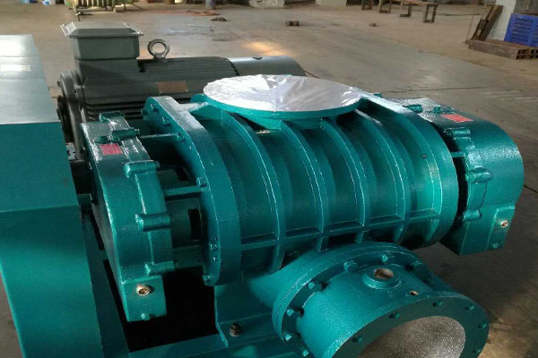 山东91视频下载地址