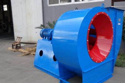 山东91视频下载地址