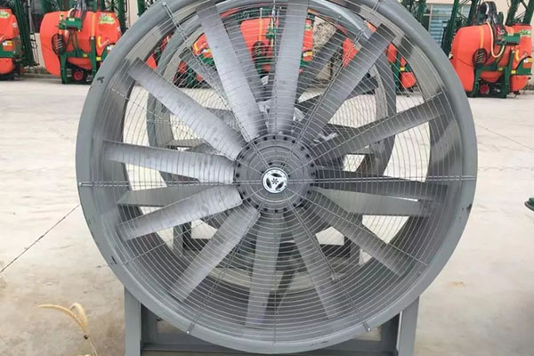 山东91视频下载地址