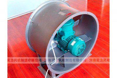 山东91视频下载地址