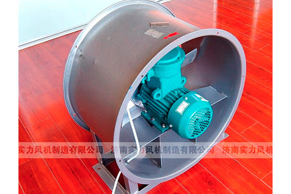 山东91视频下载地址