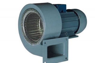 山东91视频下载地址