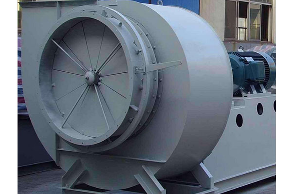 山东91视频下载地址