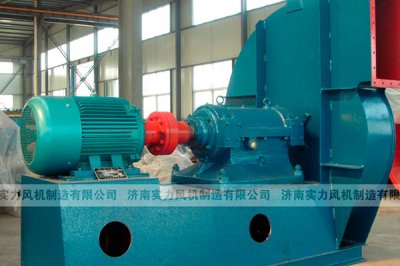 山东91视频下载地址