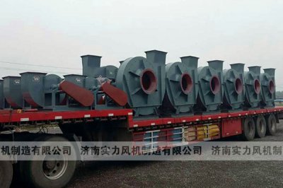 山东91视频下载地址