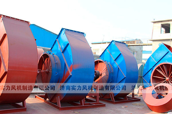 山东91视频下载地址