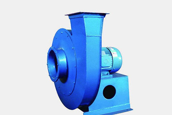 山东91视频下载地址