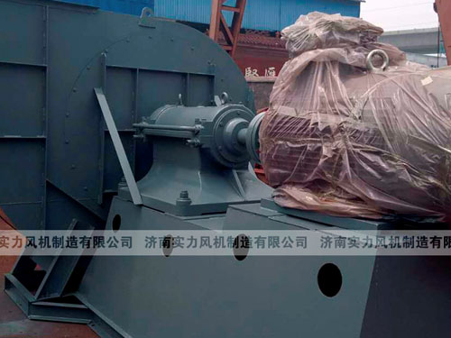 济南91视频下载地址厂