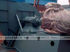 济南离心91视频下载地址