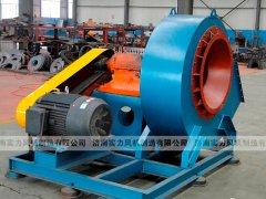 济南91视频下载地址