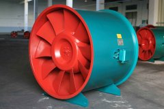 山东91视频下载地址