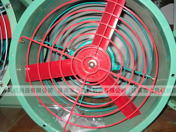 济南91视频下载地址厂