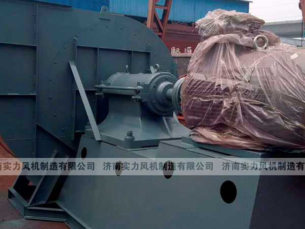 济南91视频下载地址