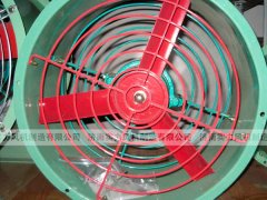 济南91视频下载地址