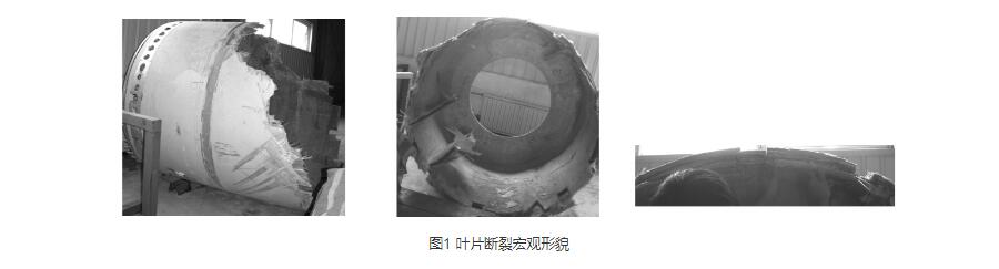 多级离心91视频下载地址