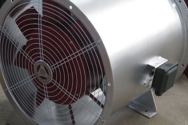 济南91视频下载地址