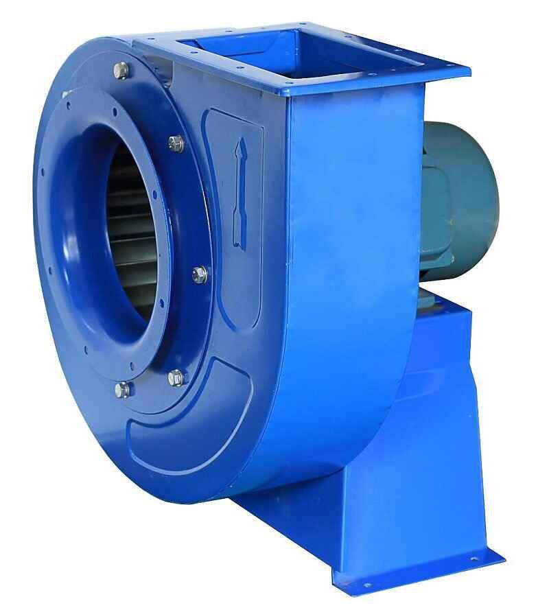 山东91视频下载地址