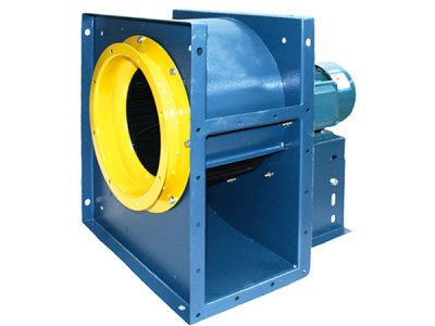 济南91视频下载地址