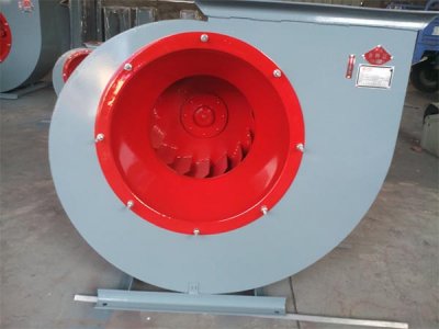 山东91视频下载地址