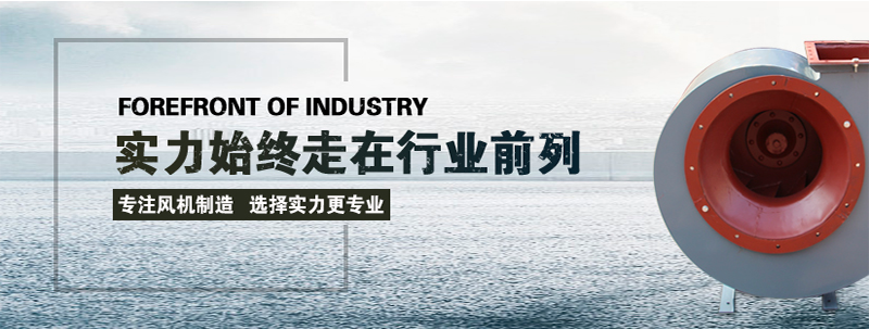 山东91视频下载地址