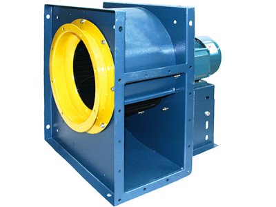 山东离心91视频下载地址